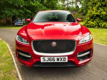 Used Jaguar F-Pace 2016 for sale - 74791488: Photo