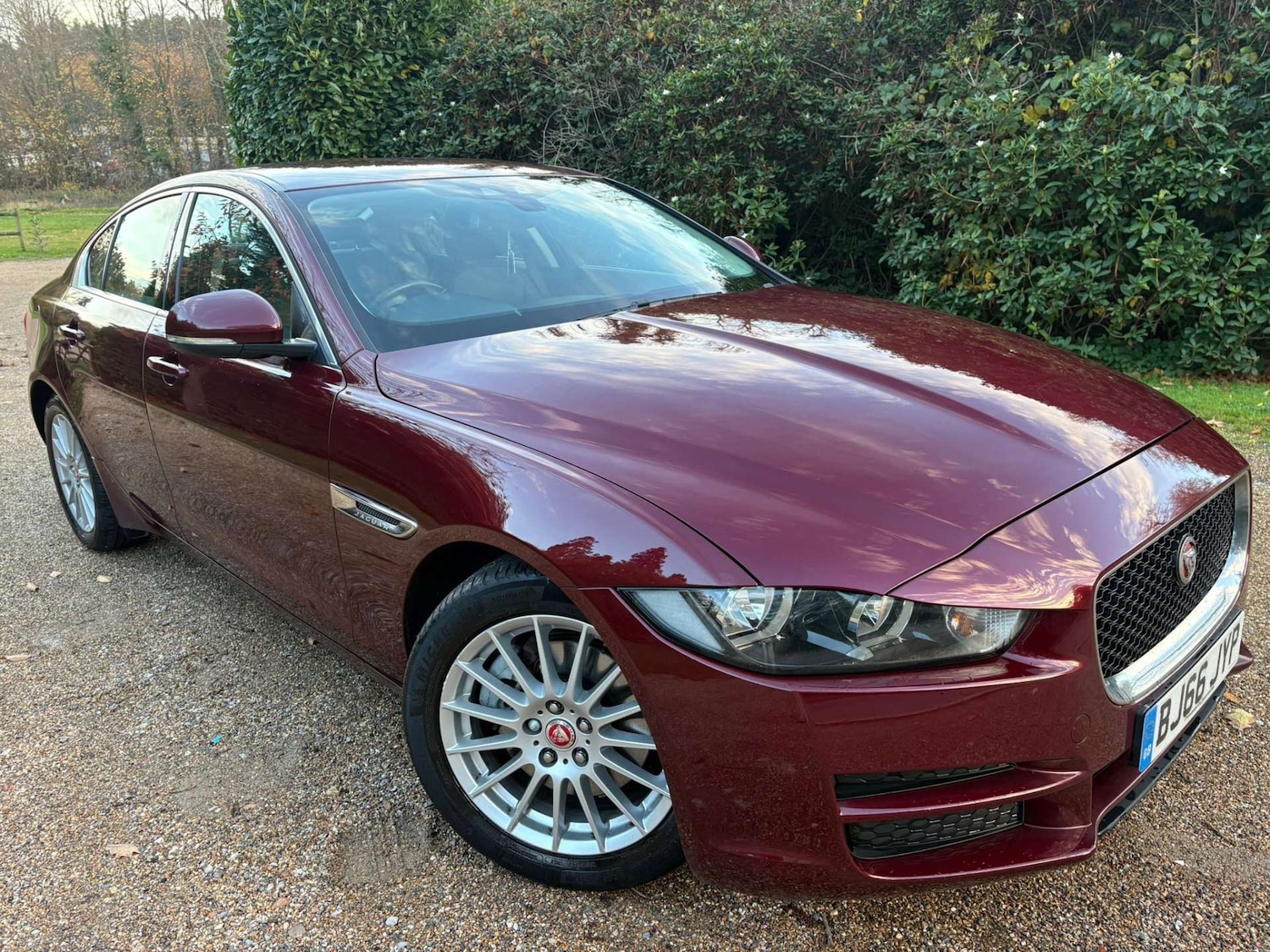 Used Jaguar XE 2016 for sale - 76469542: Photo 1