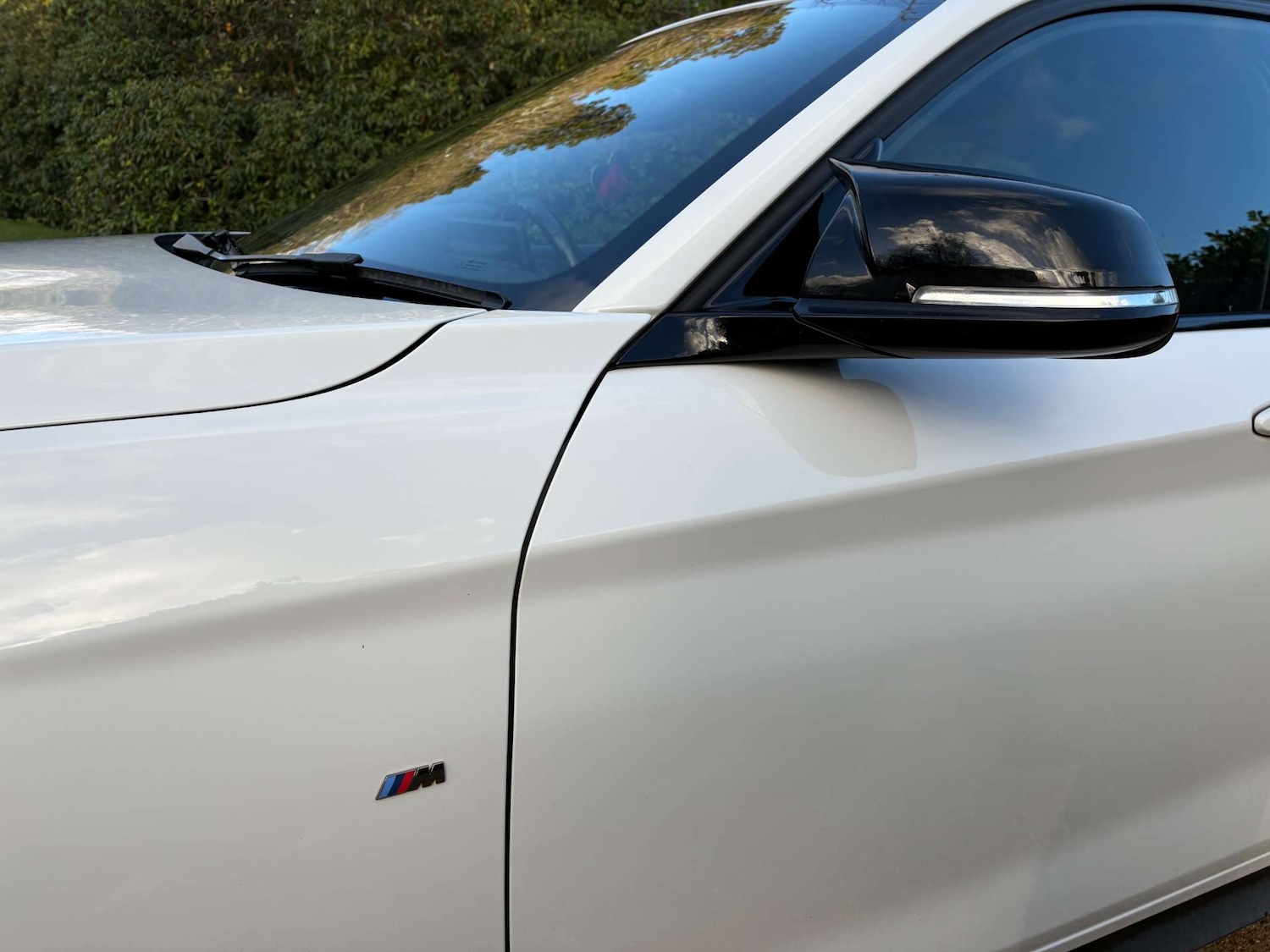 Used BMW 1 Series 2019 for sale - 77022481: Photo 5