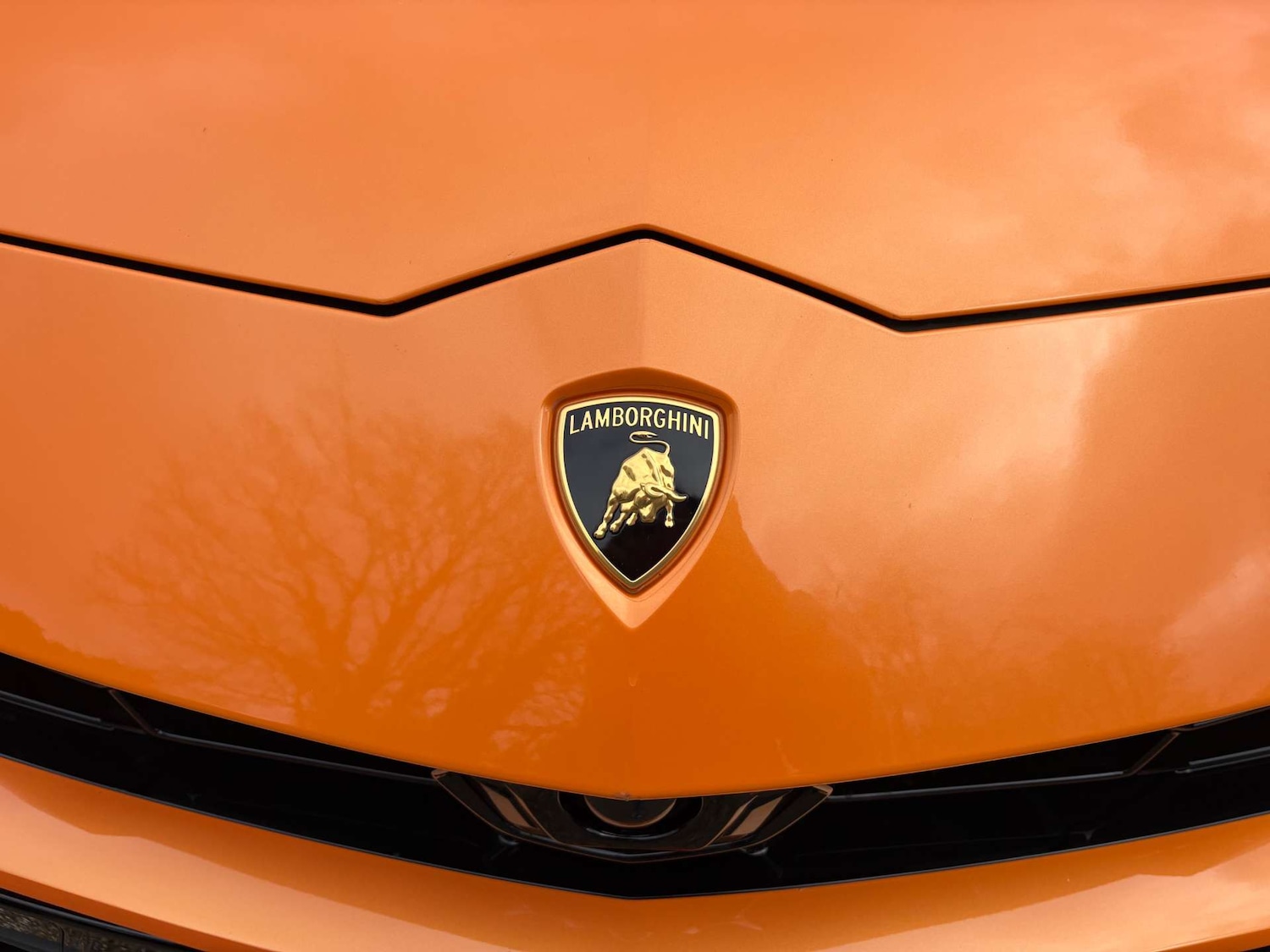 Used Lamborghini Urus 2022 for sale - 77902956: Photo 40