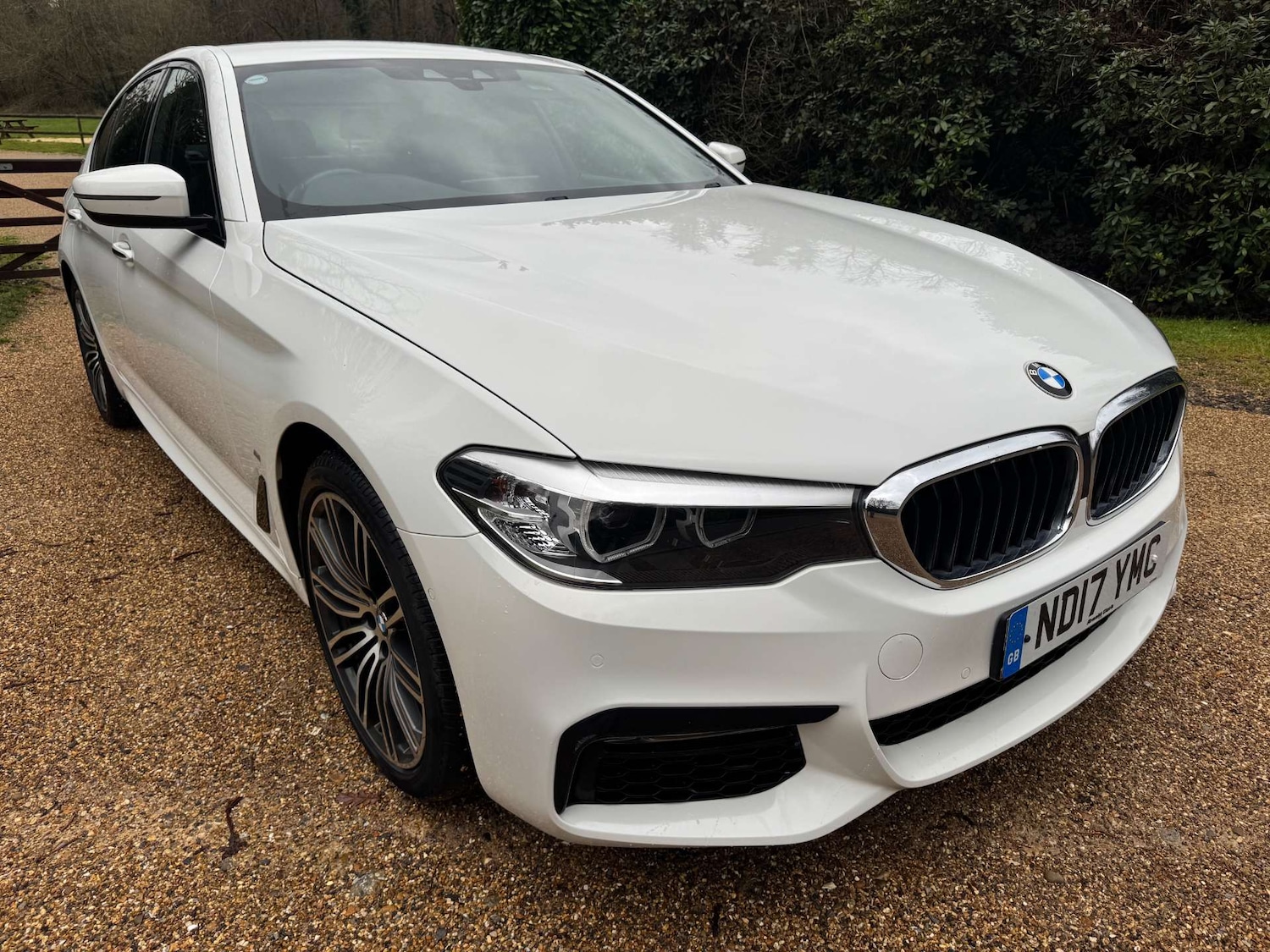 Used BMW 5 Series 2017 for sale - 77059118: Photo 2