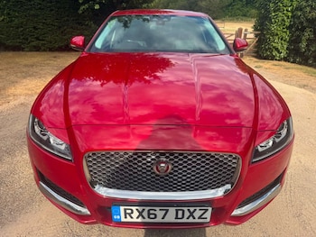 Used Jaguar XF undefined for sale - 79421937: Photo