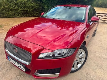 Used Jaguar XF undefined for sale - 79421937: Photo