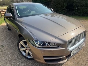 Used Jaguar XE 2016 for sale - 78826457: Photo
