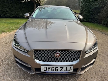 Used Jaguar XE 2016 for sale - 78826457: Photo