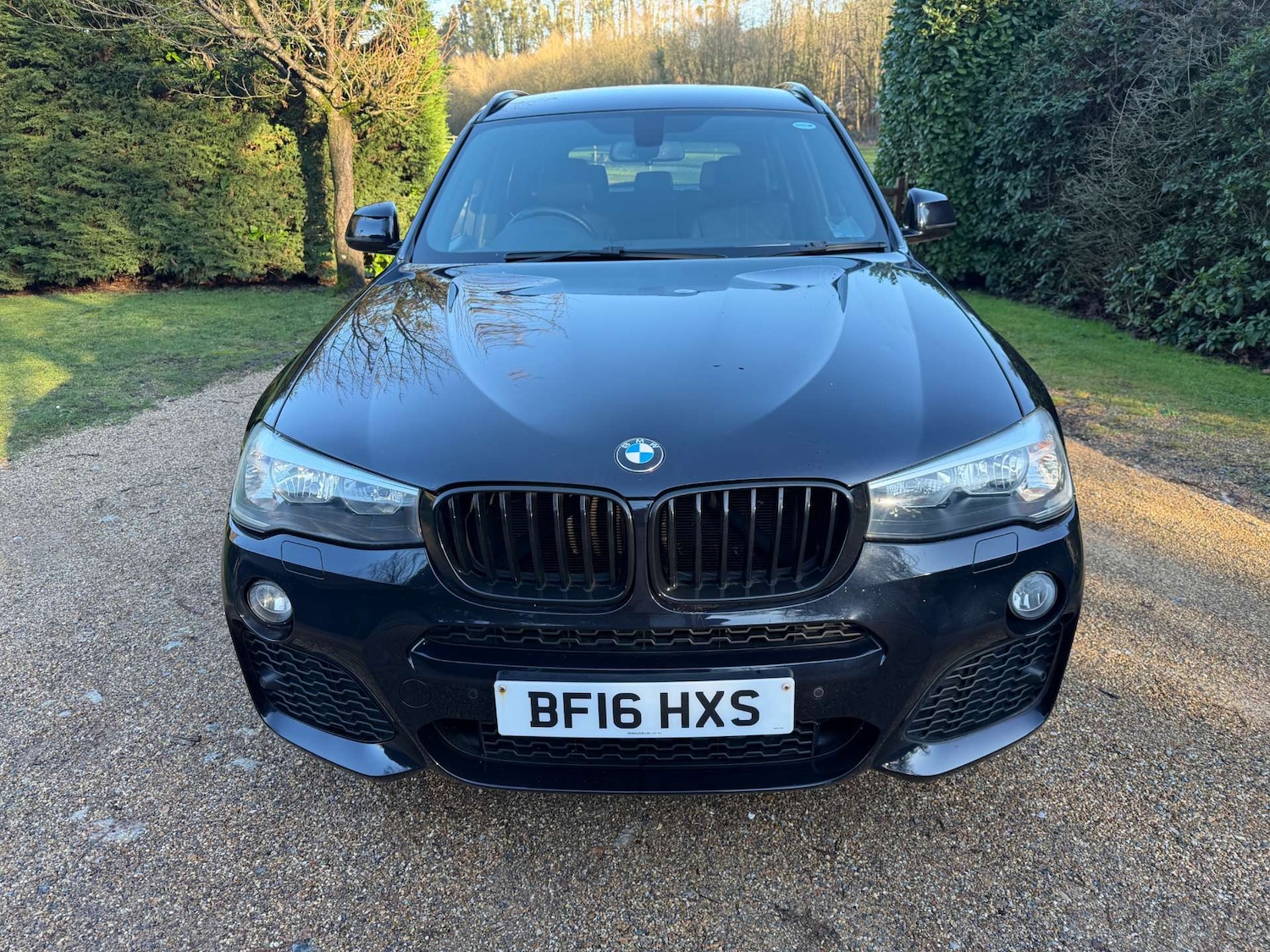 Used BMW X3 2016 for sale - 77422859: Photo 3