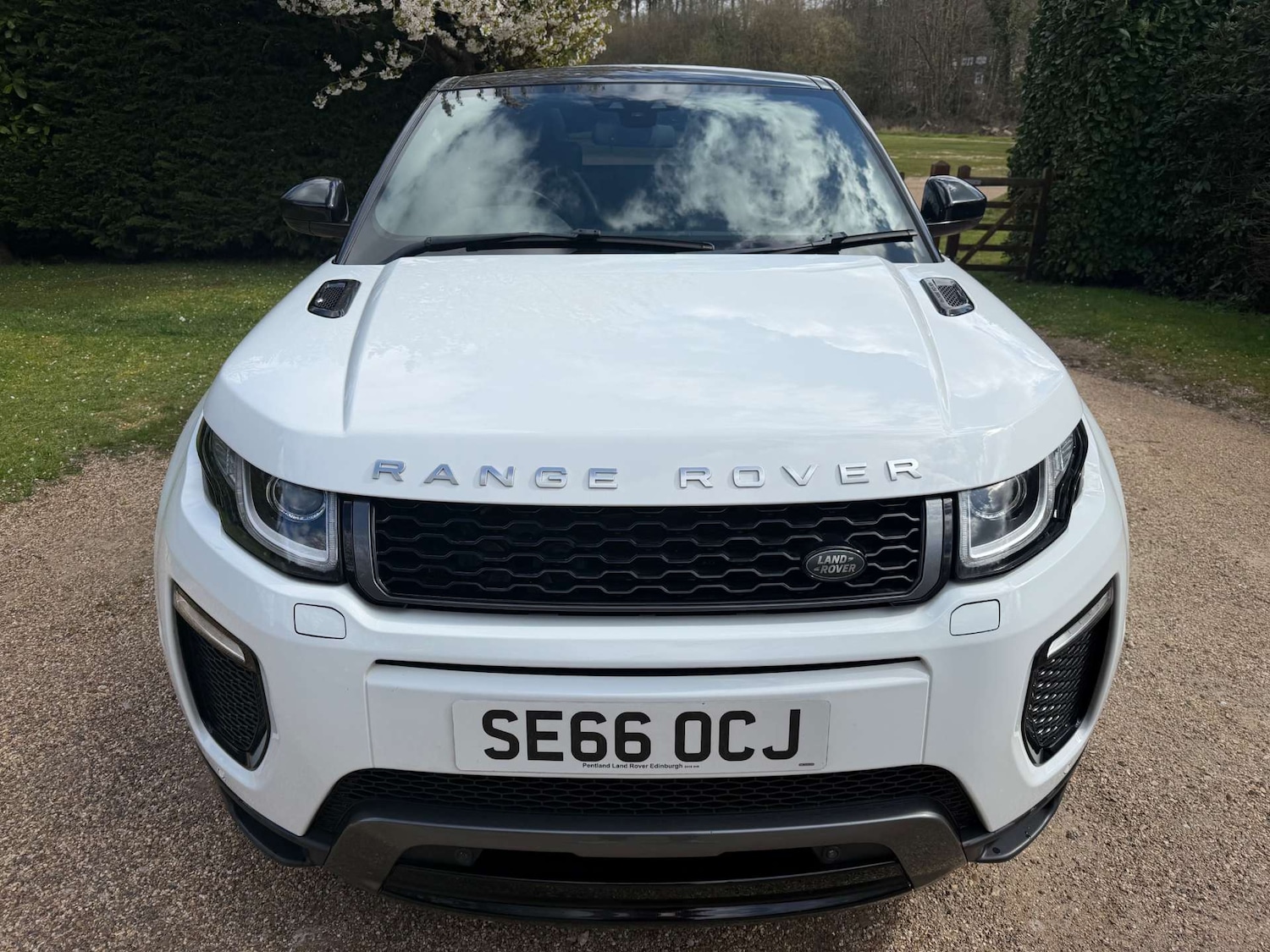 Used Land Rover Range Rover Evoque 2016 for sale - 78011135: Photo 3