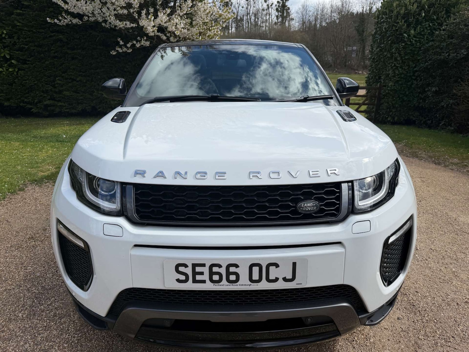 Used Land Rover Range Rover Evoque 2016 for sale - 78011135: Photo 36