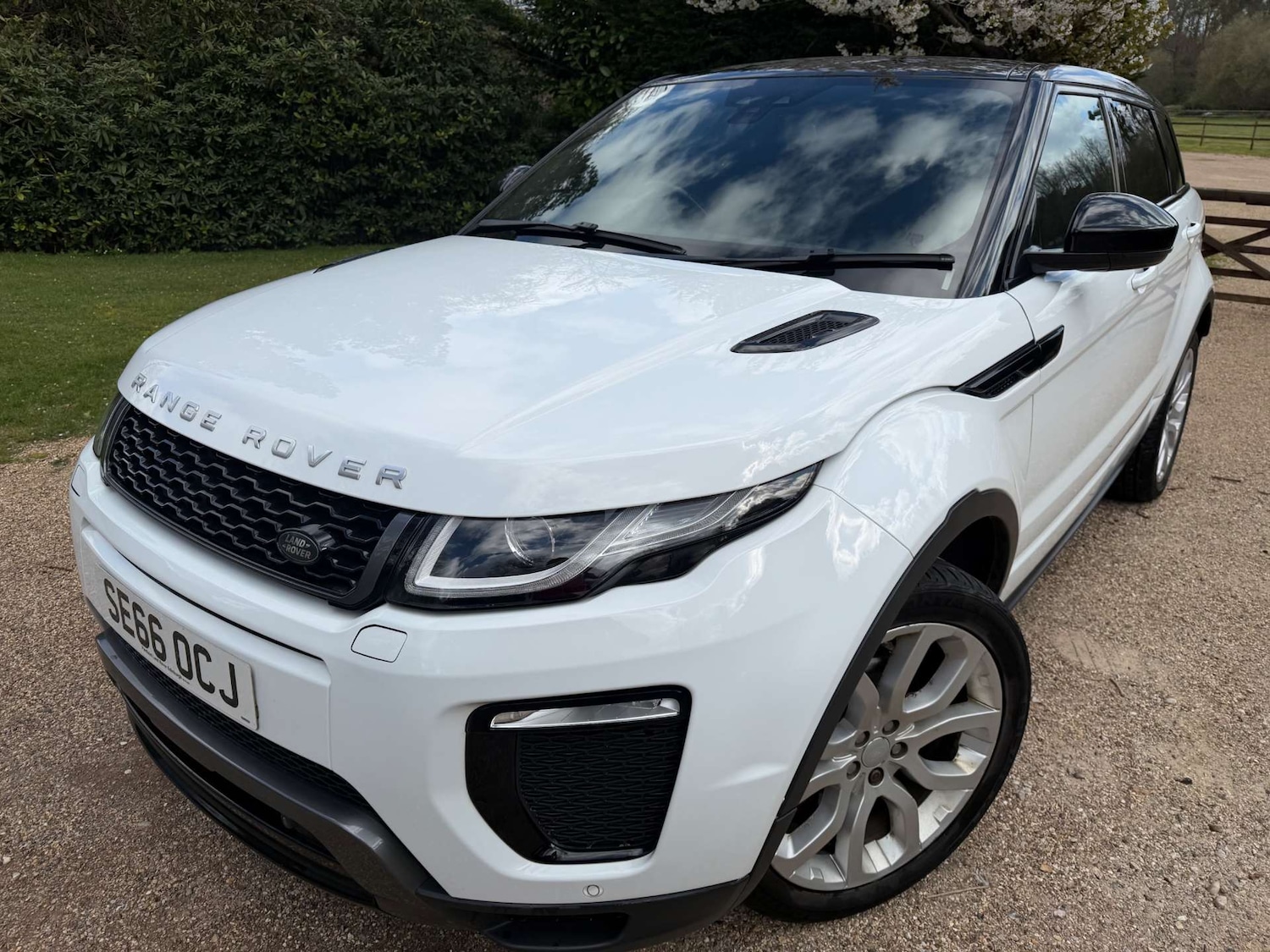 Used Land Rover Range Rover Evoque 2016 for sale - 78011135: Photo 4