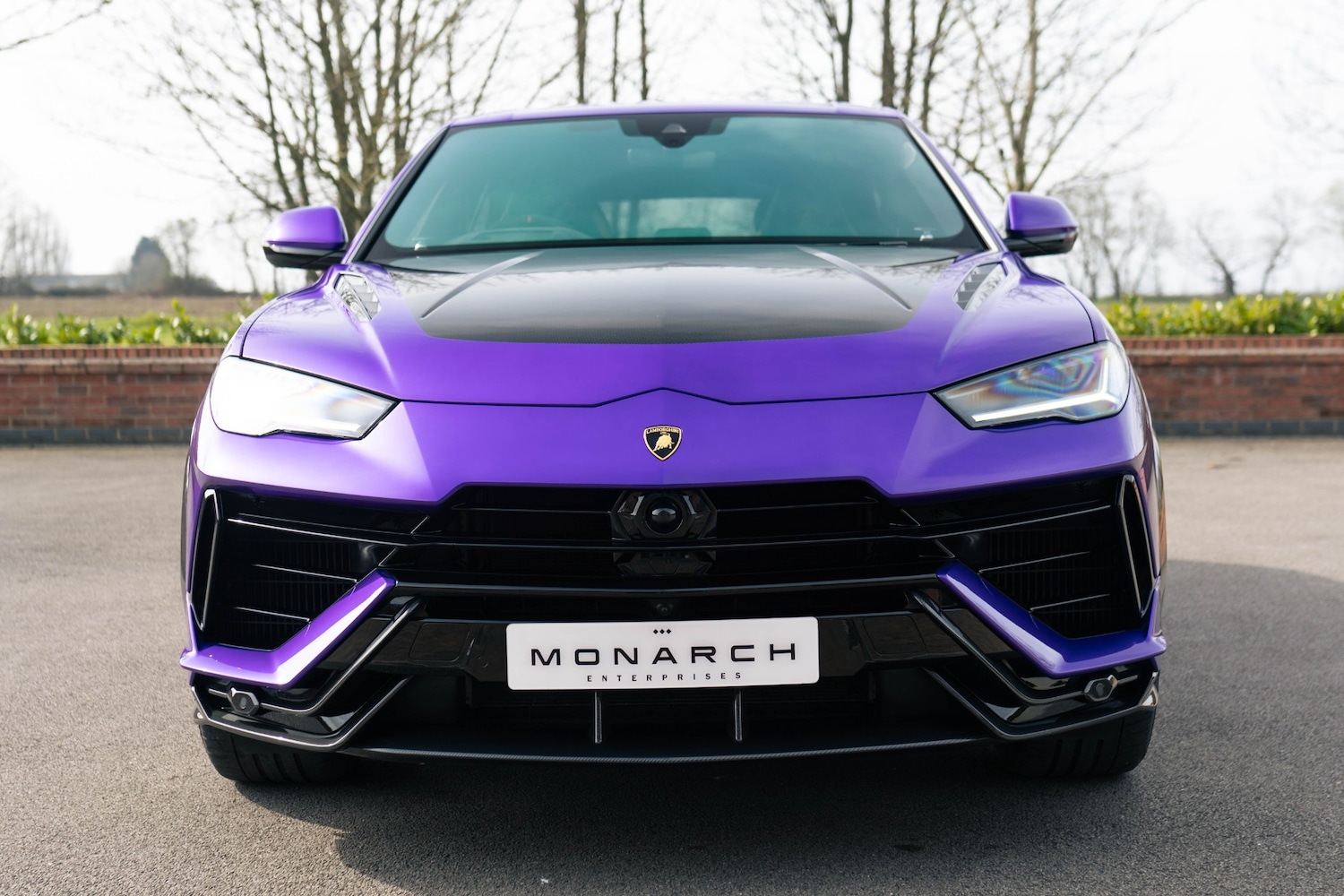 Used Lamborghini Urus 2025 for sale - 78067618: Photo 6