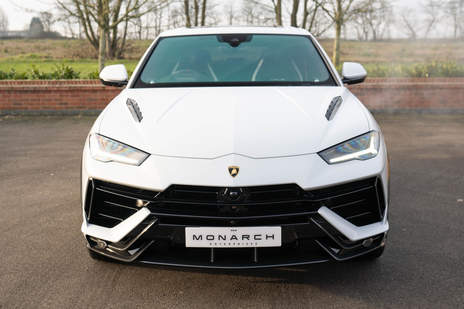 Used Lamborghini Urus 2025 for sale - 77136182: Photo 10