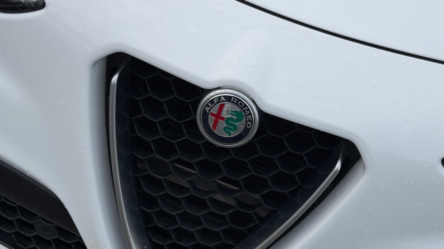 Used Alfa Romeo Stelvio 2019 for sale - 77163487: Photo 64