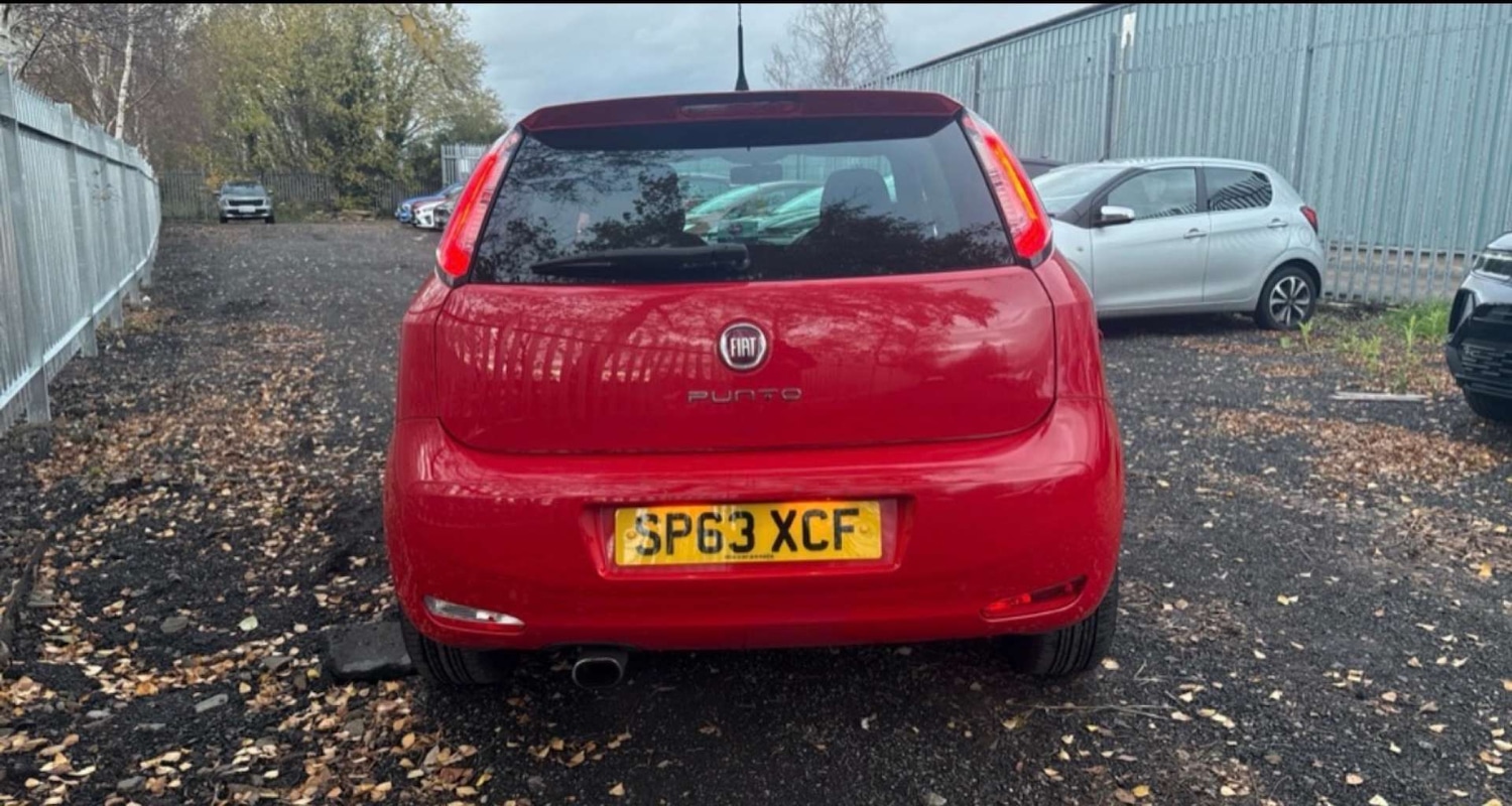 Used Fiat Punto 2013 for sale - 76829915: Photo 5