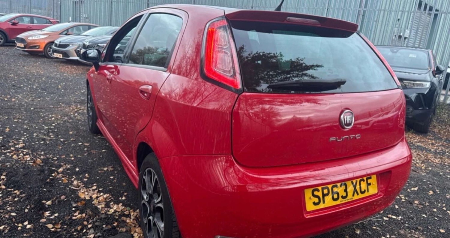 Used Fiat Punto 2013 for sale - 76829915: Photo 6