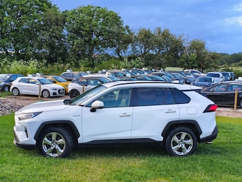 Used Toyota RAV4 2019 for sale - 79285369: Photo