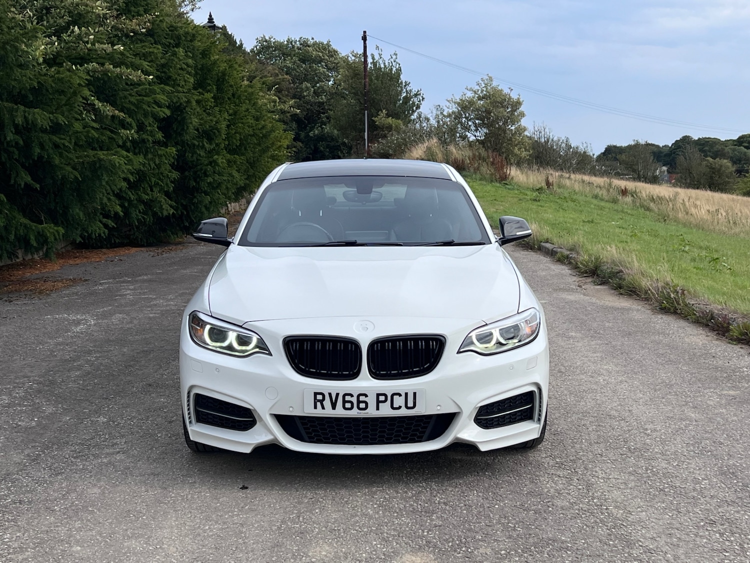 Used BMW 2 Series 2016 for sale - 77371939: Photo 9