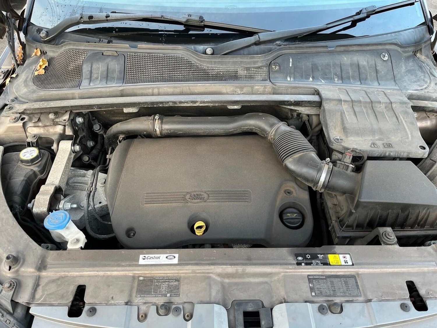 Used Land Rover Range Rover Evoque 2015 for sale - 76935358: Photo 20