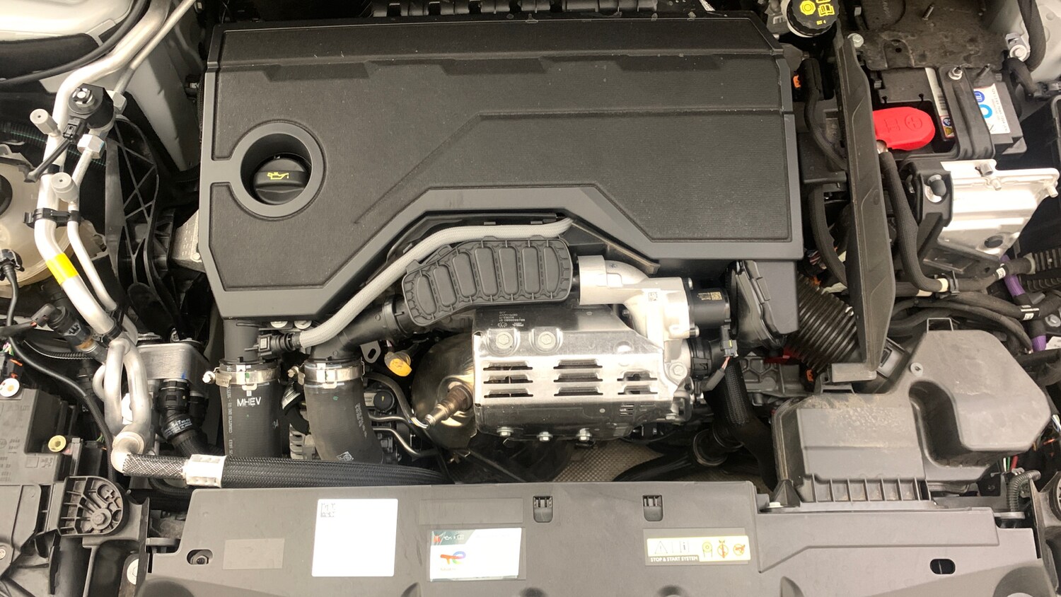 Used Peugeot 308 2025 for sale - 76359068: Photo 21