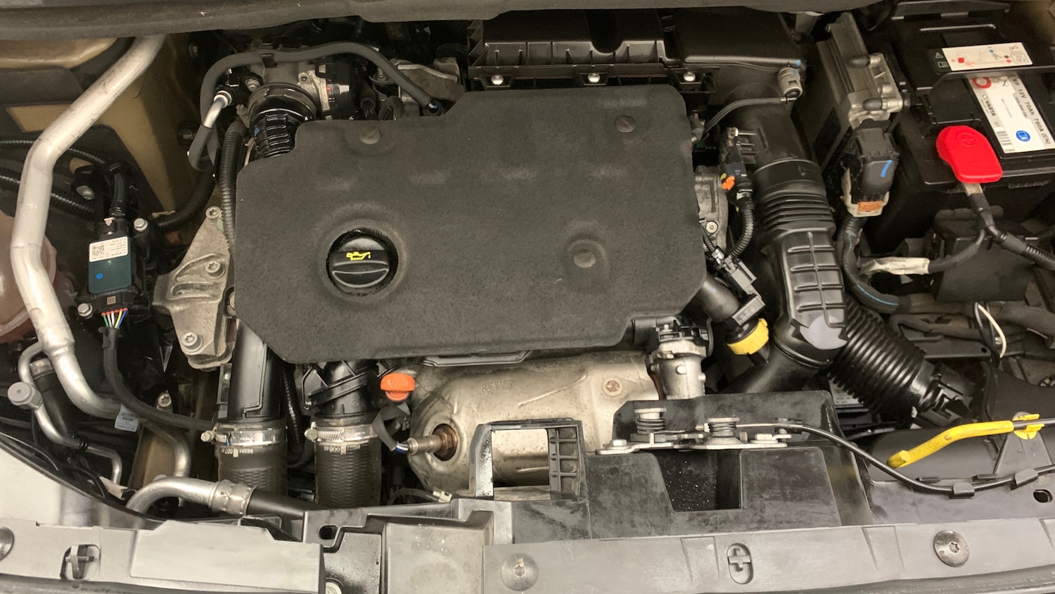 Used Citroen Berlingo 2020 for sale - 76389565: Photo 21