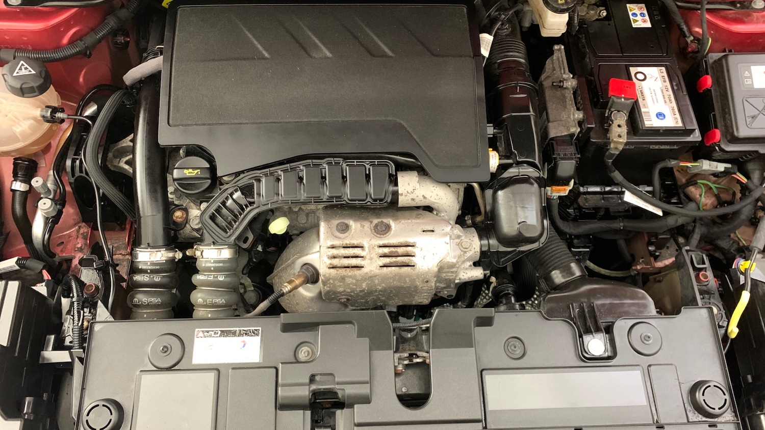 Used Citroen C4 2022 for sale - 77218059: Photo 22