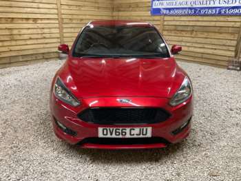 Used Ford Focus 2016 for sale - 74266019: Photo