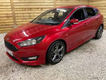 Used Ford Focus 2016 for sale - 74266019: Photo