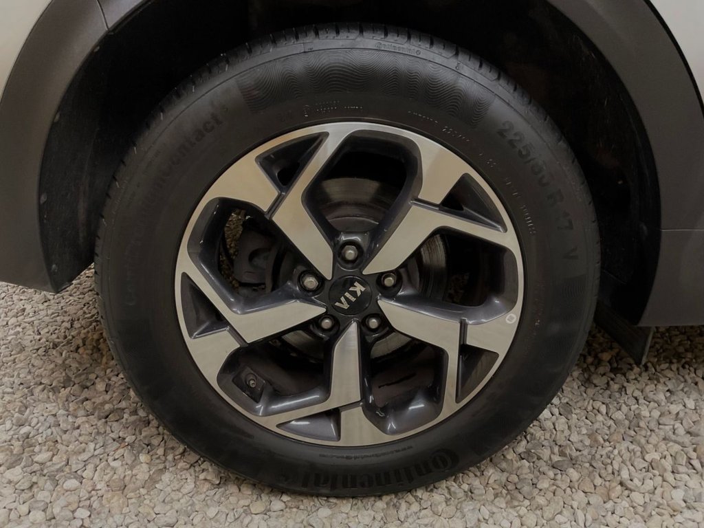 Vehicle 49