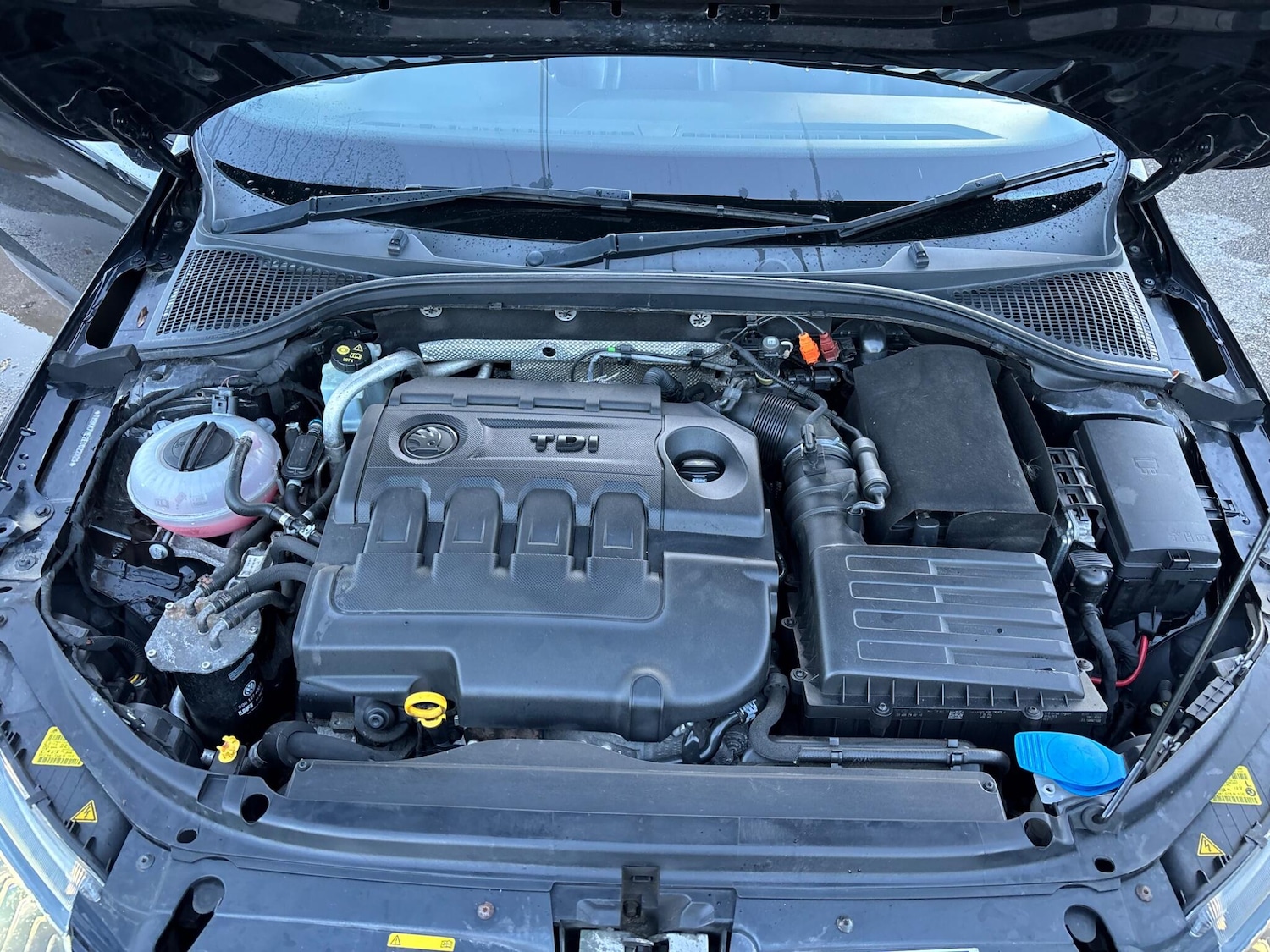 Used Skoda Octavia 2013 for sale - 77332001: Photo 24