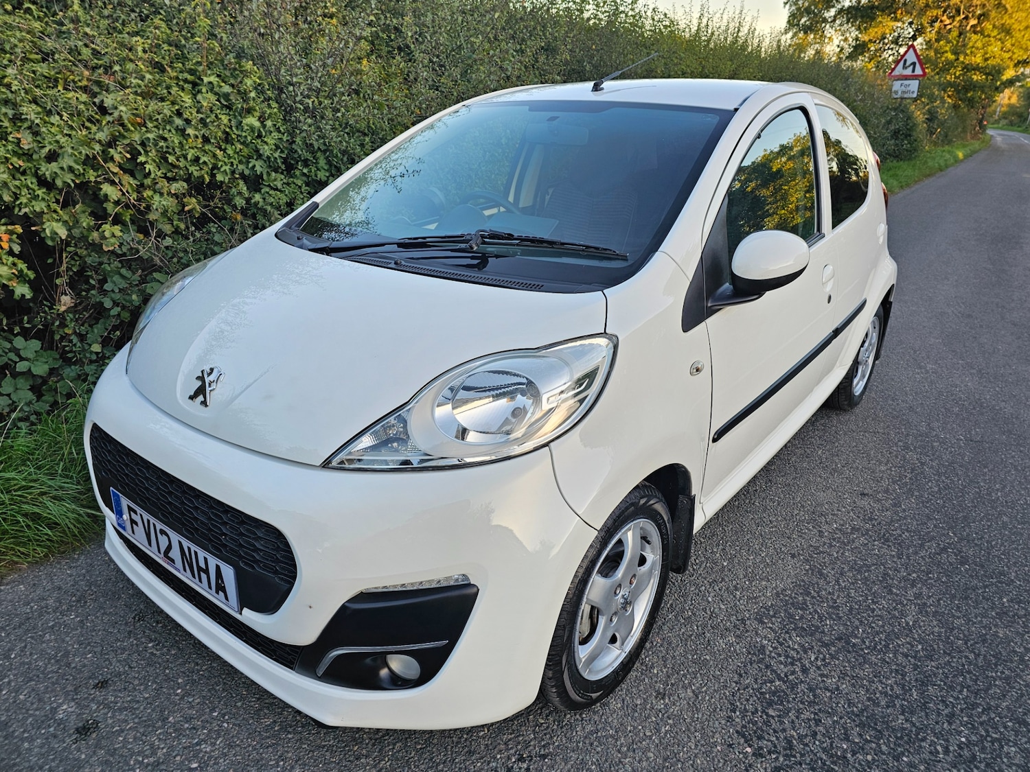 Vehicle 1