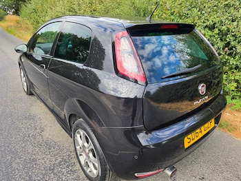 Used Fiat Punto 2014 for sale - 79323608: Photo