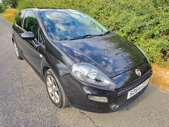 Used Fiat Punto 2014 for sale - 79323608: Photo