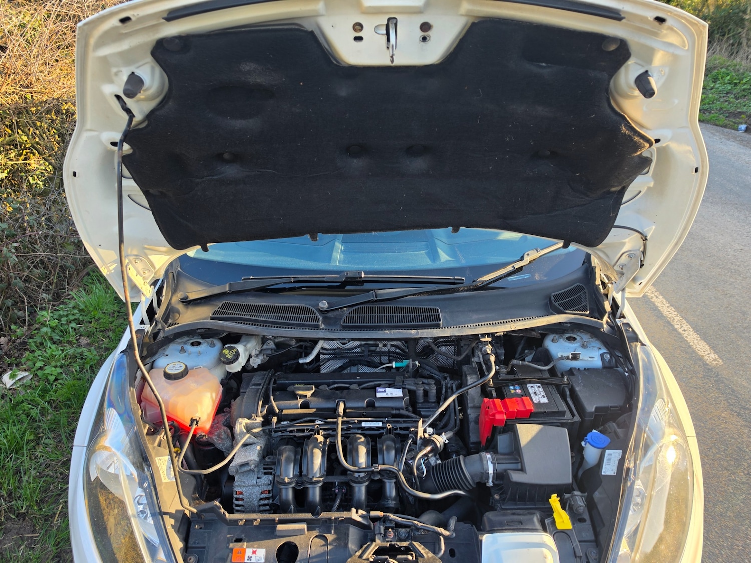 Used Ford Fiesta 2012 for sale - 77889154: Photo 7