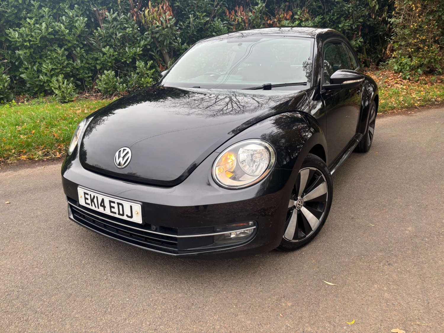 Used Volkswagen Beetle 2014 for sale - 76953406: Photo 4