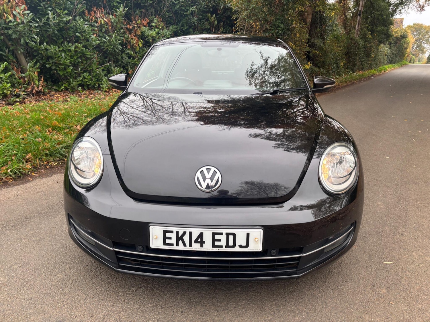 Used Volkswagen Beetle 2014 for sale - 76953406: Photo 5