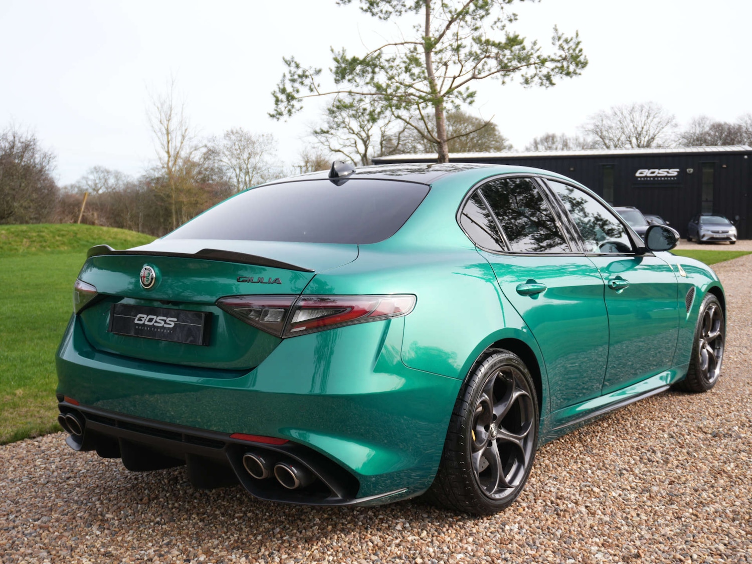 Used Alfa Romeo Giulia 2024 for sale - 77581144: Photo 5