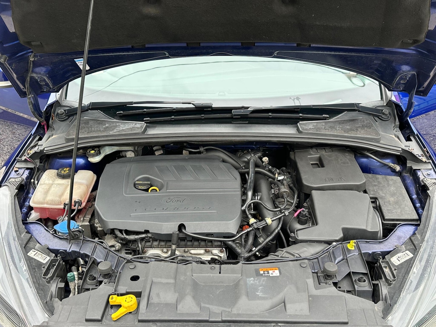 Used Ford Focus 2017 for sale - 76423328: Photo 21