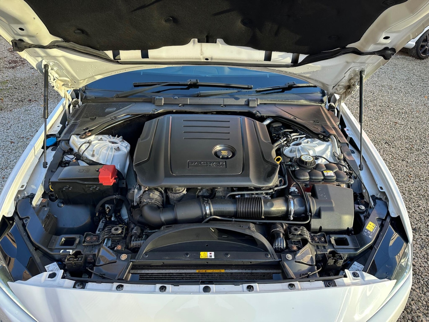 Used Jaguar XE 2015 for sale - 76743303: Photo 21