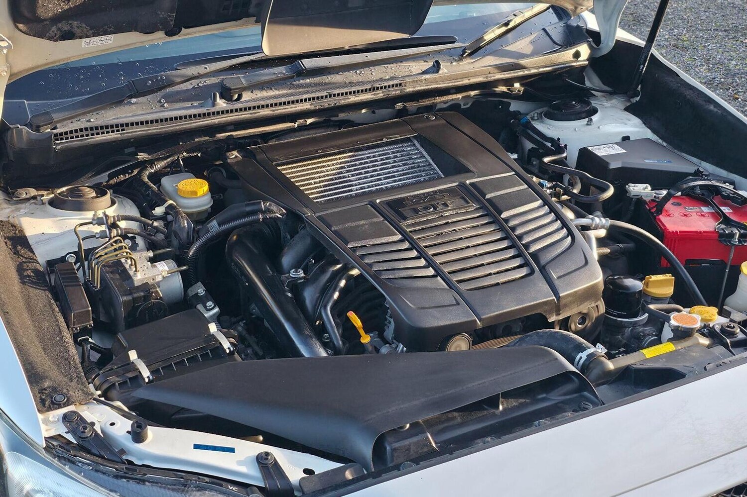 Used Subaru WRX STI 2014 for sale - 76769303: Photo 54