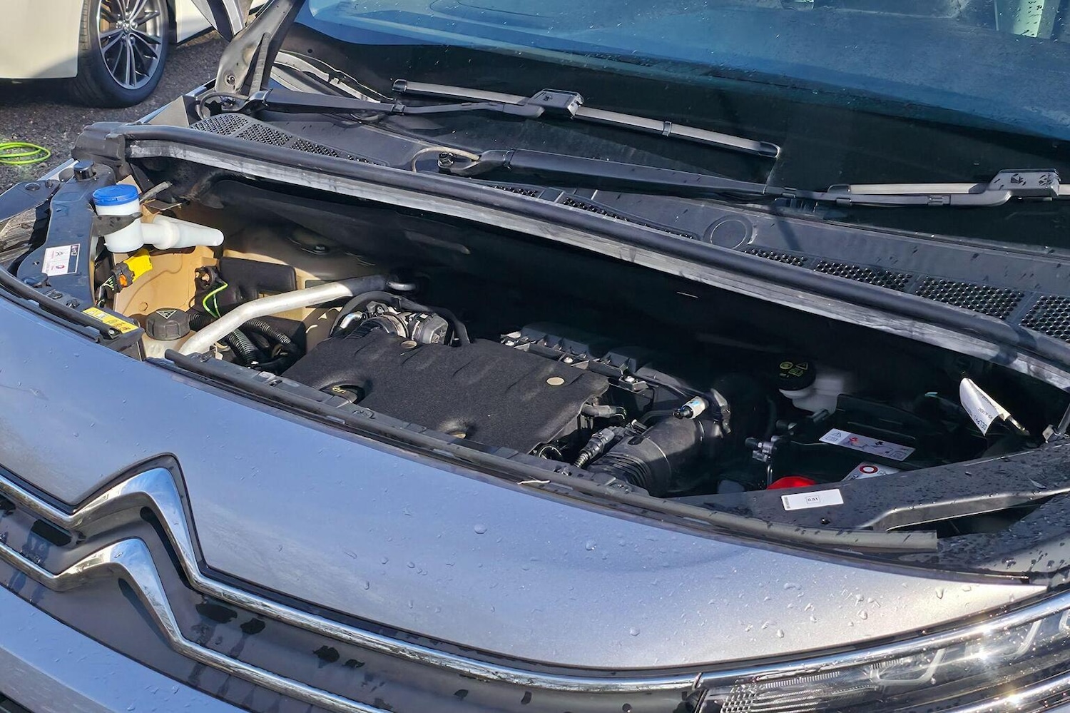 Used Citroen Berlingo 2020 for sale - 77822392: Photo 40