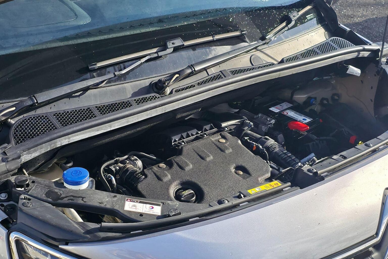 Used Citroen Berlingo 2020 for sale - 77822392: Photo 41