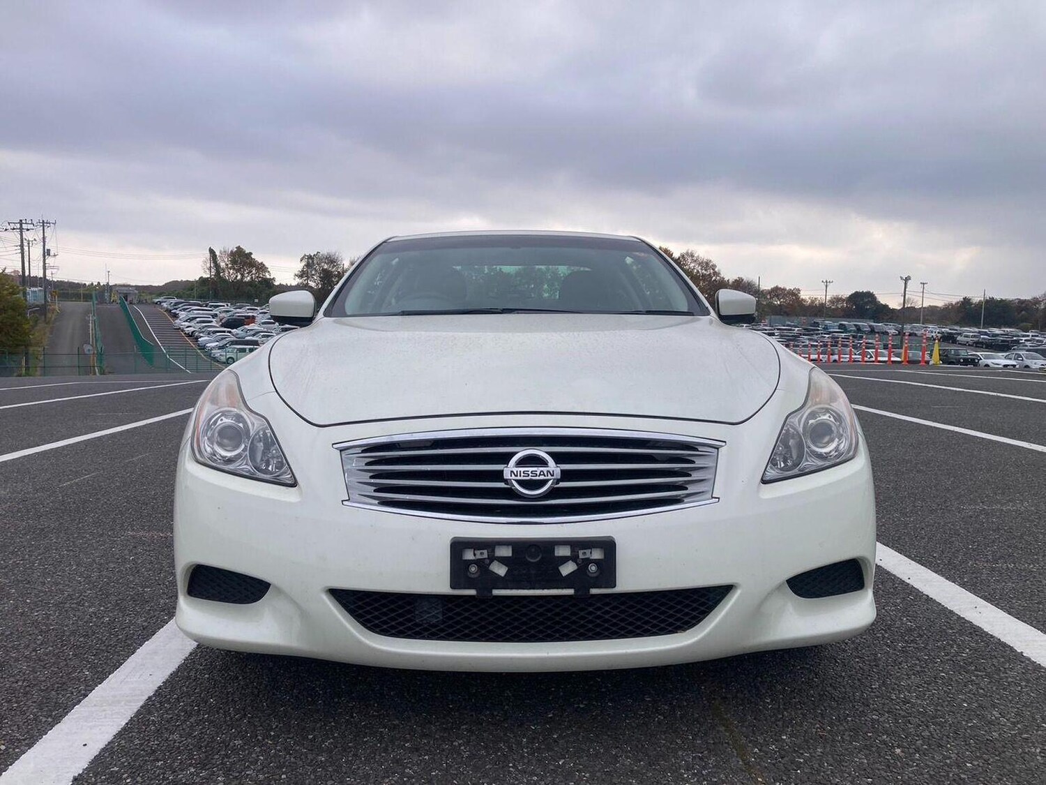 Used Nissan Skyline 2008 for sale - 77118568: Photo 12