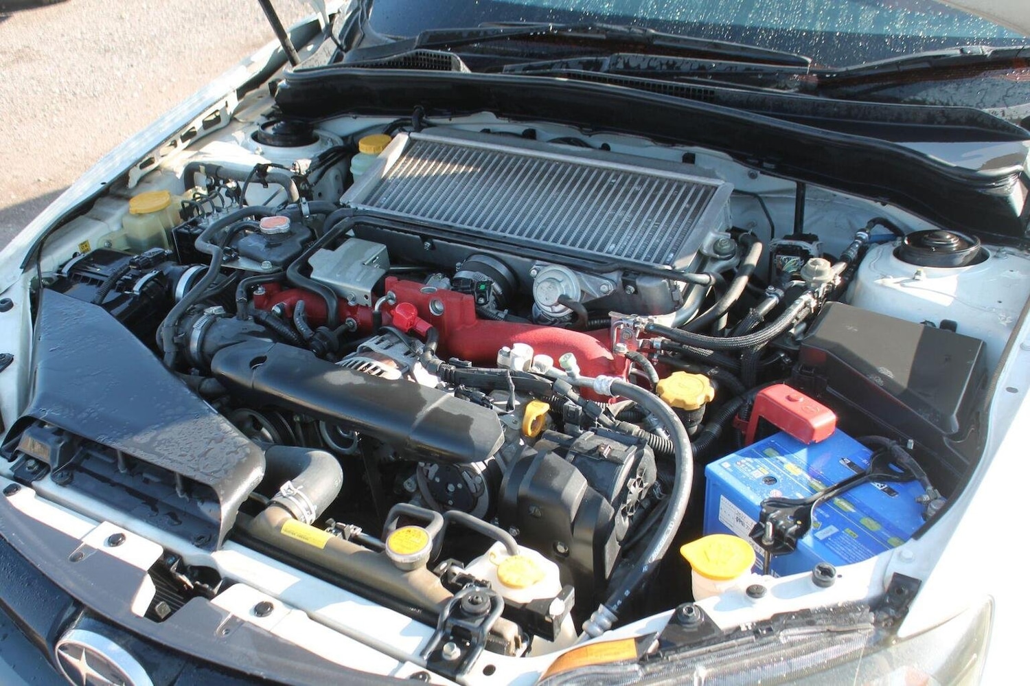 Used Subaru WRX STI 2010 for sale - 76793600: Photo 46