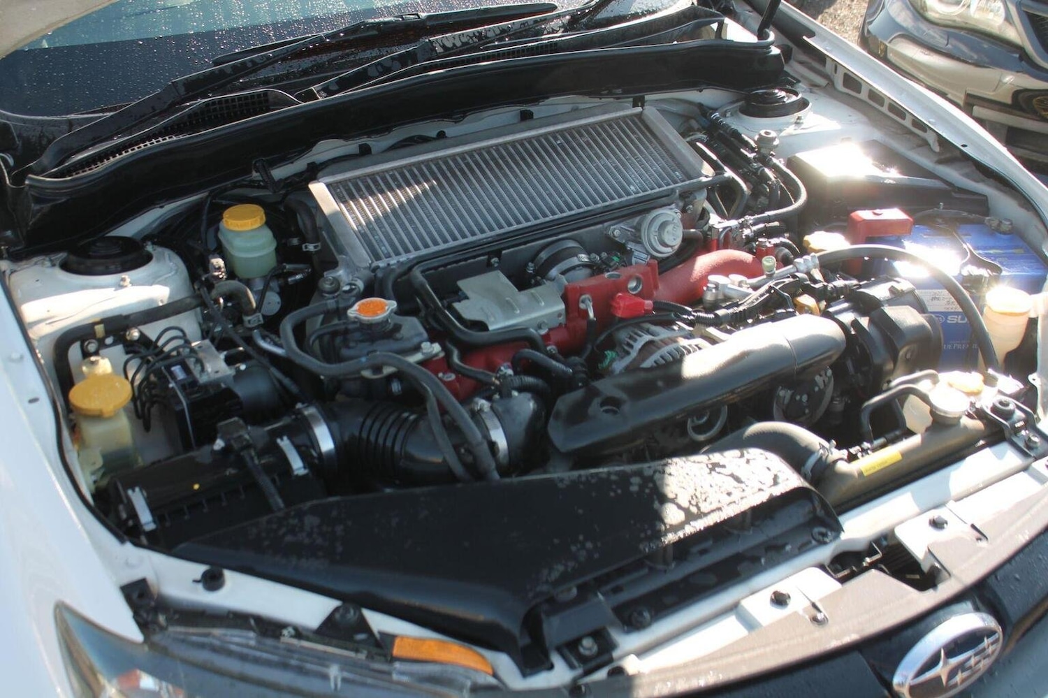 Used Subaru WRX STI 2010 for sale - 76793600: Photo 48