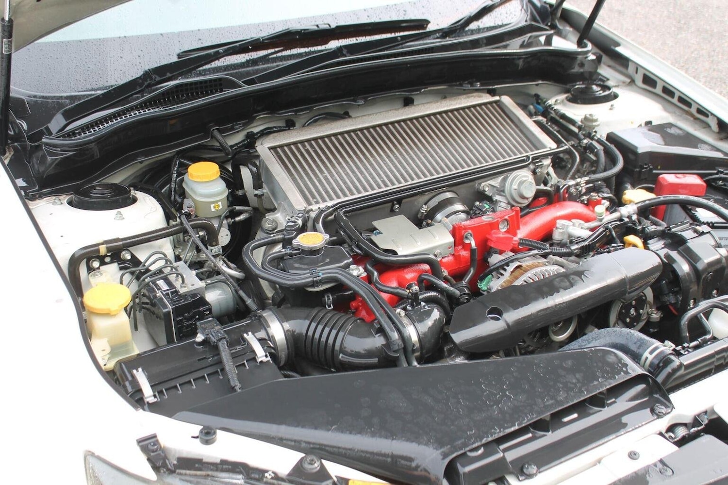 Used Subaru Impreza 2010 for sale - 74308134: Photo 55