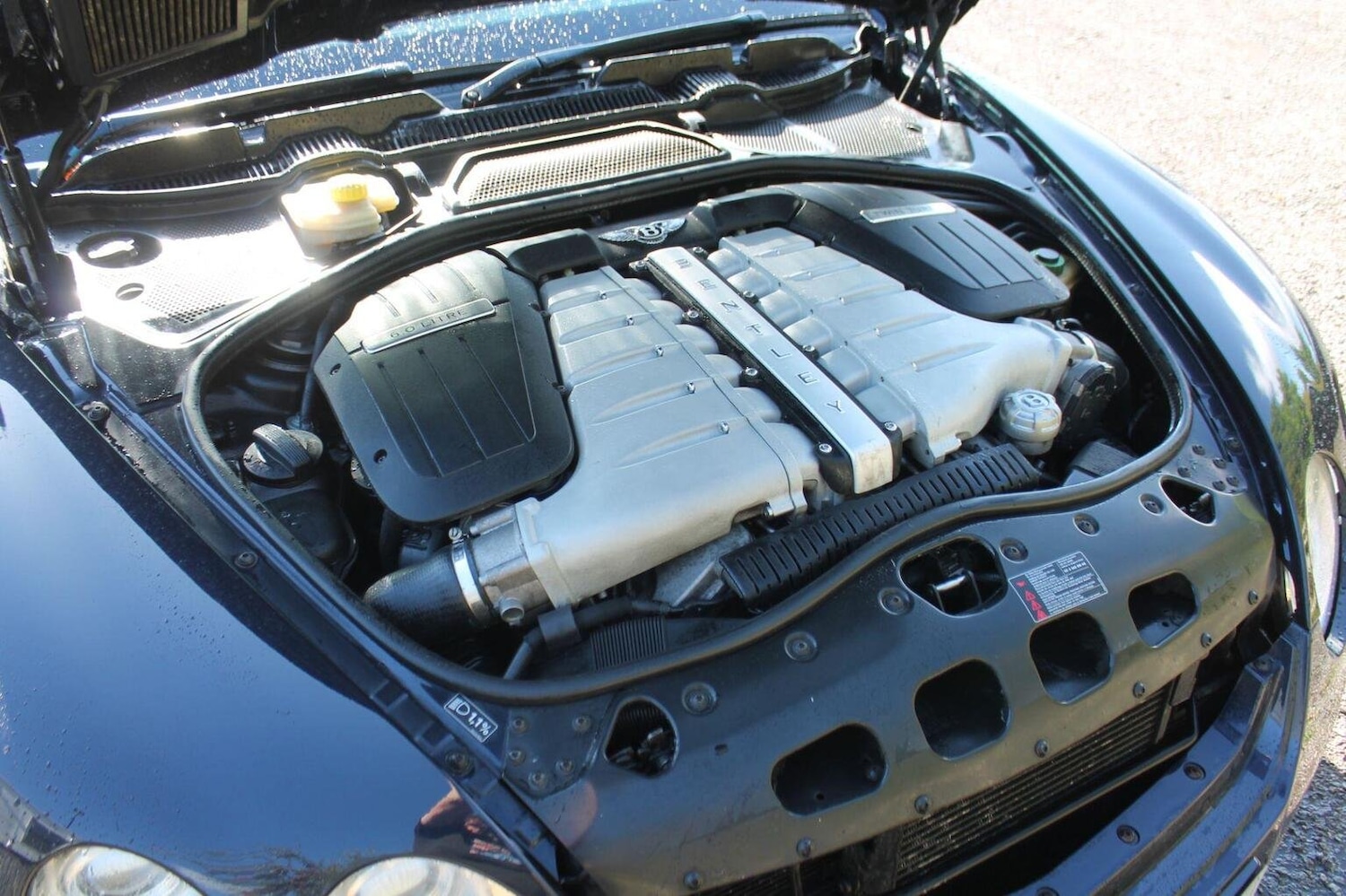 Used Bentley Continental 2006 for sale - 75604185: Photo 46