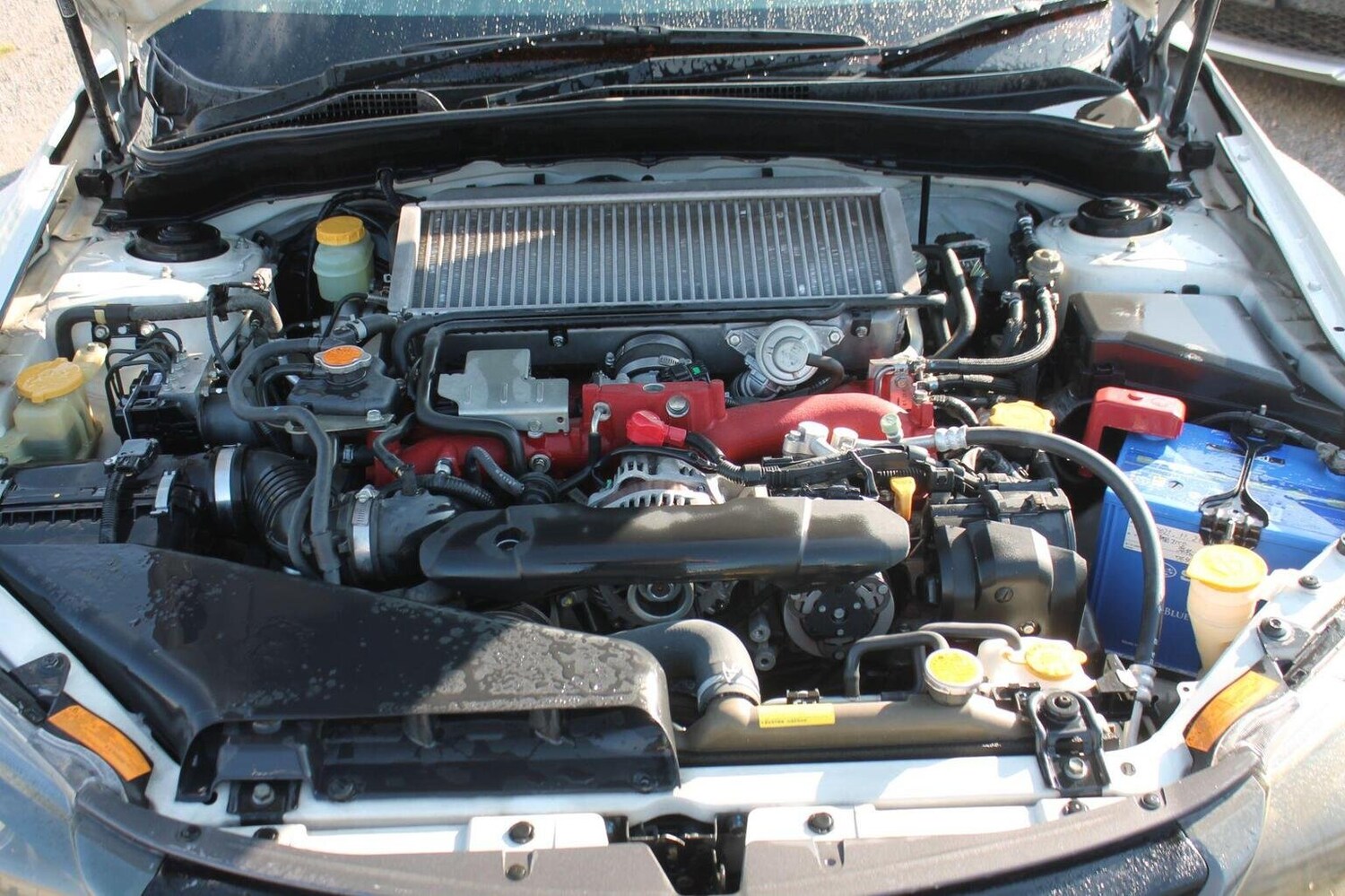 Used Subaru WRX STI 2010 for sale - 77465834: Photo 47