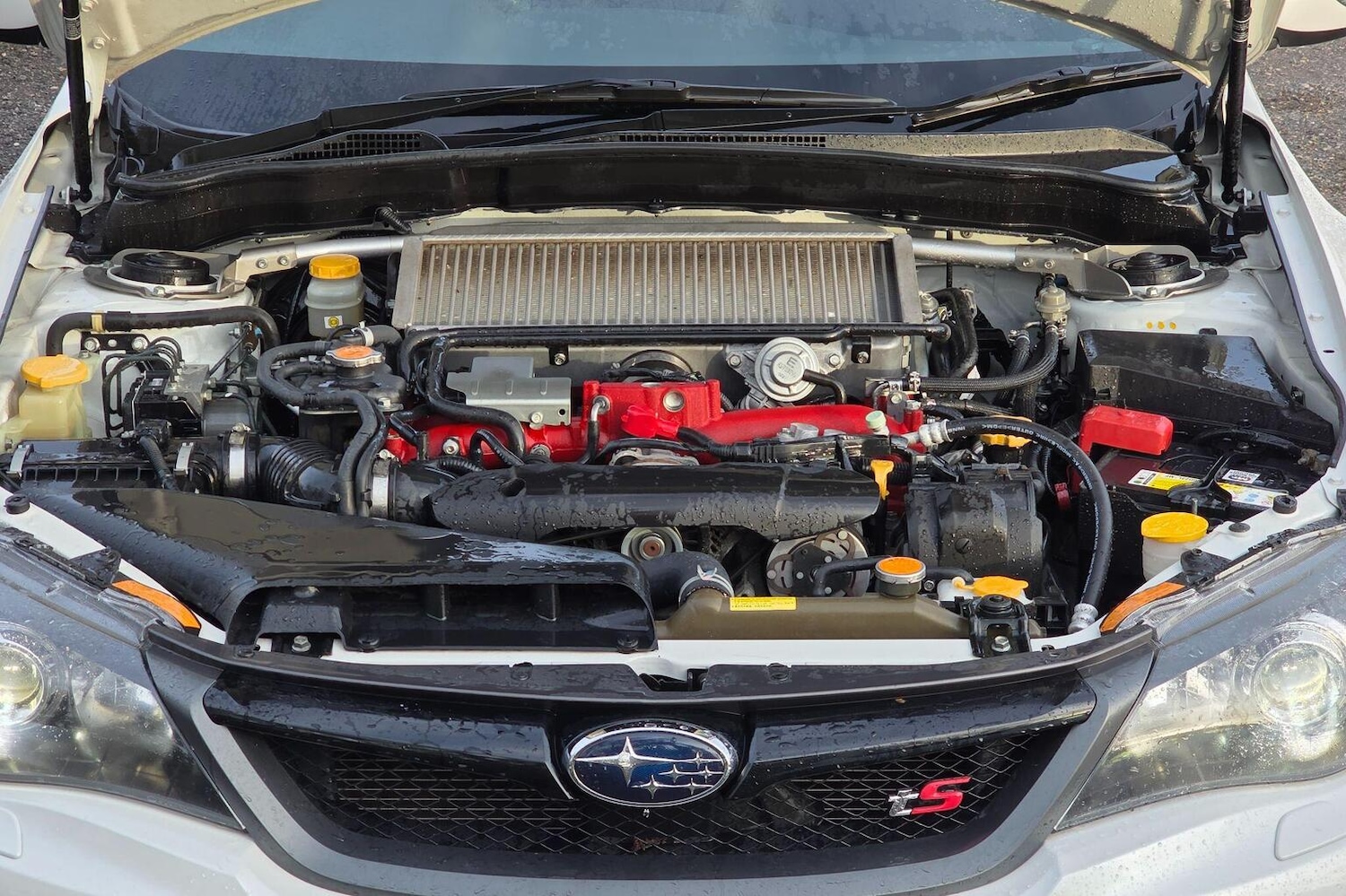 Used Subaru Impreza 2024 for sale - 76935357: Photo 35