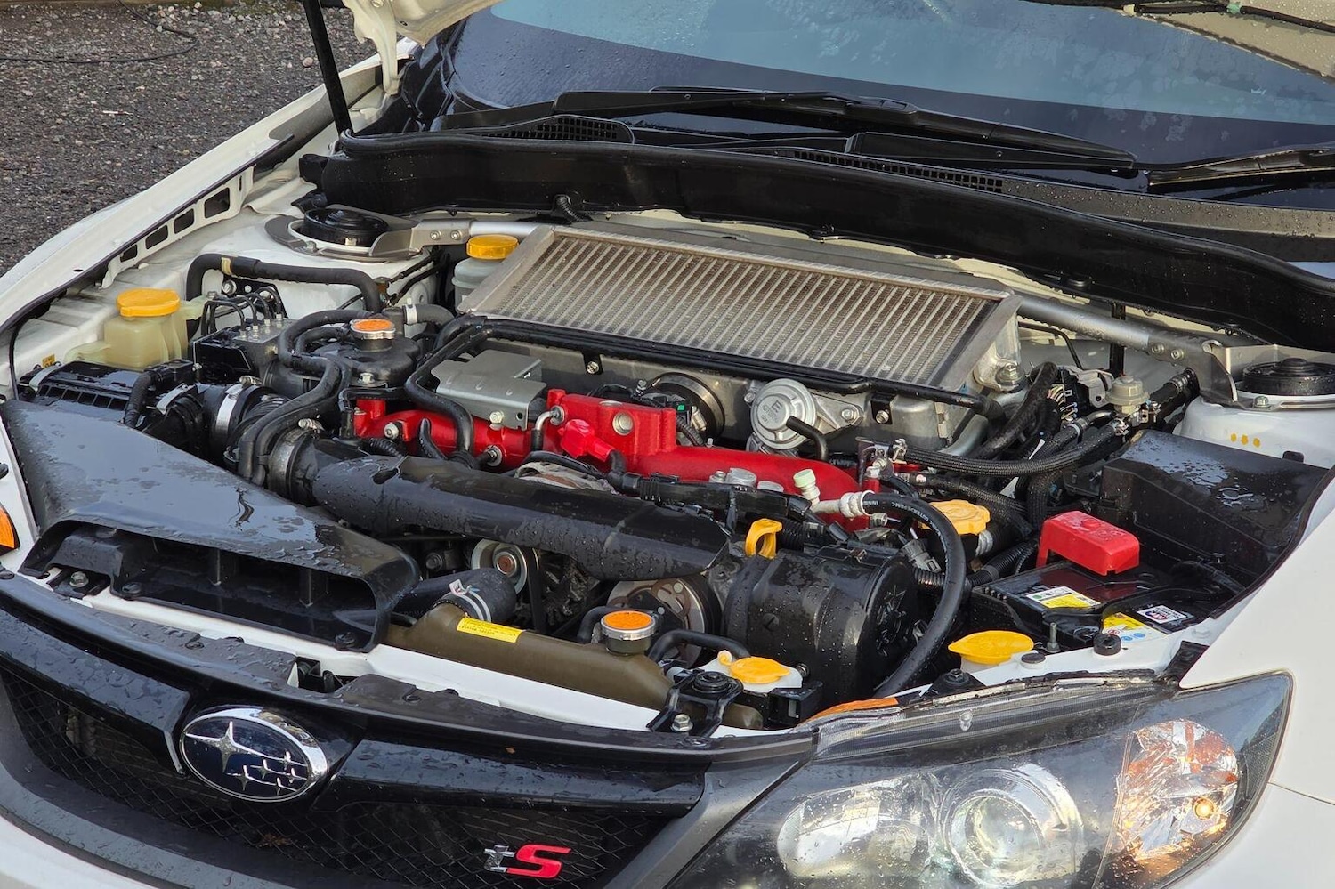 Used Subaru Impreza 2024 for sale - 76935357: Photo 36