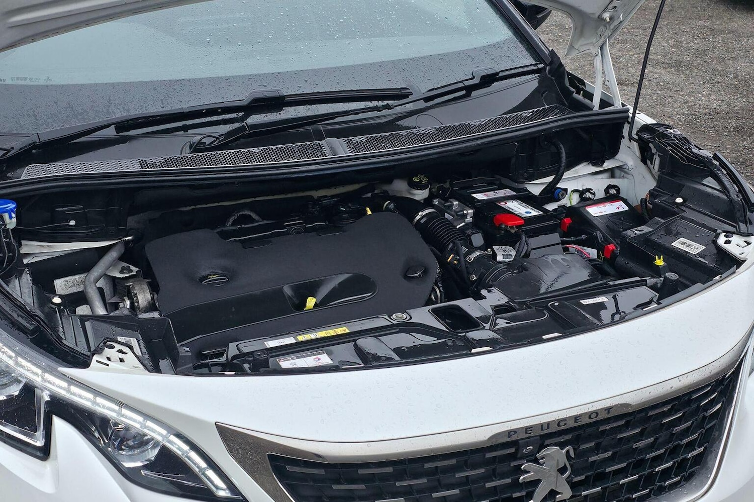 Used Peugeot 5008 2019 for sale - 77303559: Photo 55