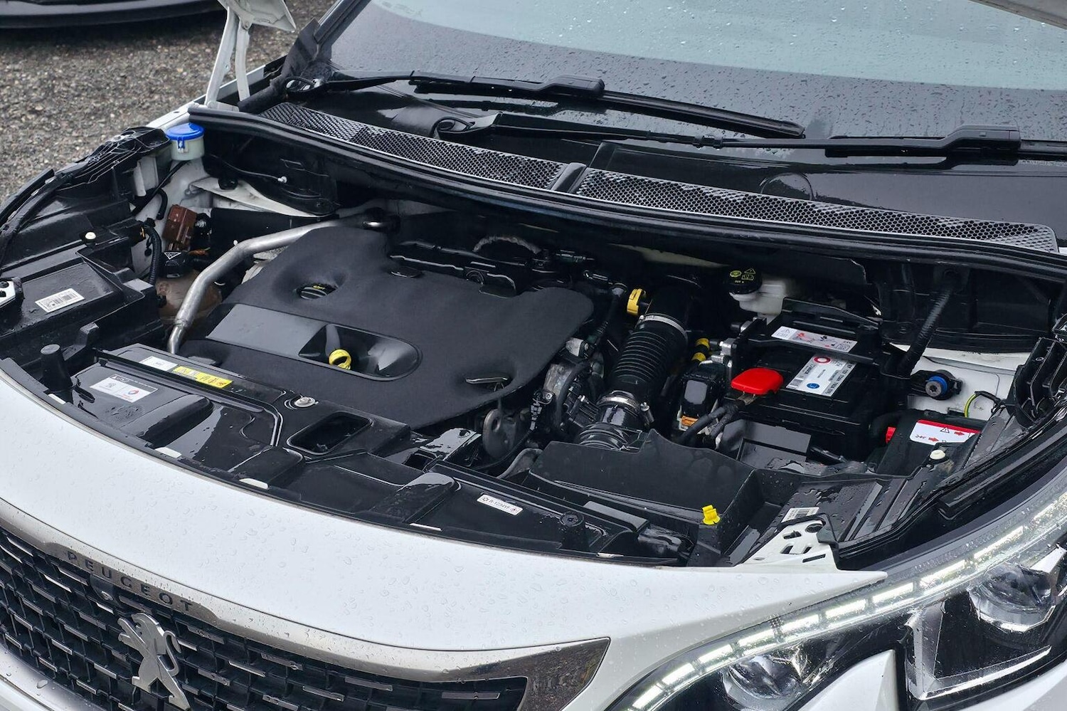 Used Peugeot 5008 2019 for sale - 77303559: Photo 57